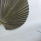 Folhas Permanentes | Folhagem De Palmeira Leque 3d Artificial